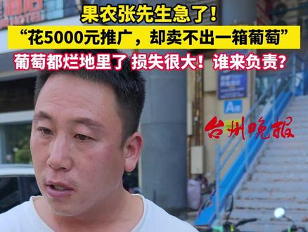 8月7日 台州 椒江。果农张先生急了!“花5000元推广,却卖不出一箱葡萄” 葡萄都烂地里了 损失很大!谁来负责?#台州晚报帮帮团 #维权 #果农 #销售 @抖音小助手 @DOU+小助手