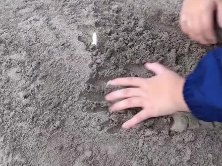 0~6岁宝宝都爱看的玩具挖掘机视频大全#儿童玩具 #儿童益智 #亲子互动 #3到6岁儿童益智早教动画 #挖掘机