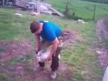 叨哥僵直瓶 毛子快乐瓶 零百加速0.1秒 #叨哥 #叨哥僵直瓶