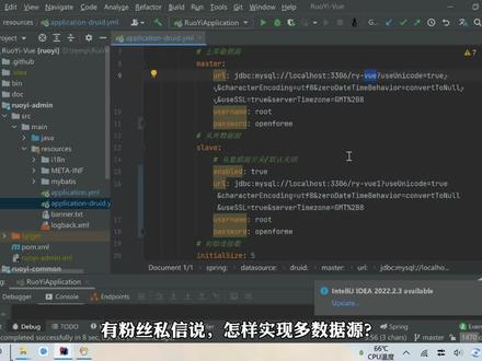 JAVA知识分享【第55集 ruoyi配置多数据源】45秒掌握若依框架配置多数据源.#知识分享 #科普 #教程 #原创 #程序员