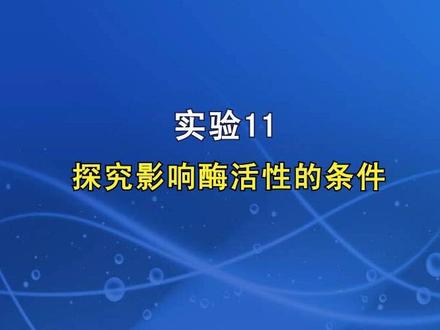 实验11 探究影响酶活性的条件