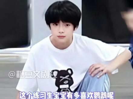 #汪浚熙 小汪:要告诉全世界鹦鹉是我的好伙伴啦🦜#tf家族#tf家族练习生#鹦鹉#糖豆文剧社