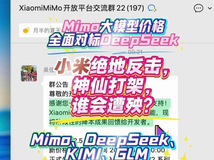 AI编程:小米绝地反击,Mimo 大模型全面降价对标 DeepSeek,神仙打架,谁会遭殃?Kimi、GLM何去何从?国产大模型的价格战要开始了吗?