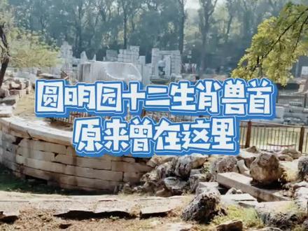 圆明园的十二生肖兽首曾经就在这里,可惜现在就剩下这些了#历史 #圆明园