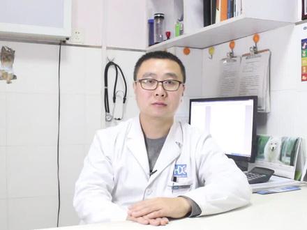 原来这才是现在猫咪们不抓老鼠的原因,你们了解了吗?#猫咪 #萌宠 #猫抓老鼠#dou是知识点