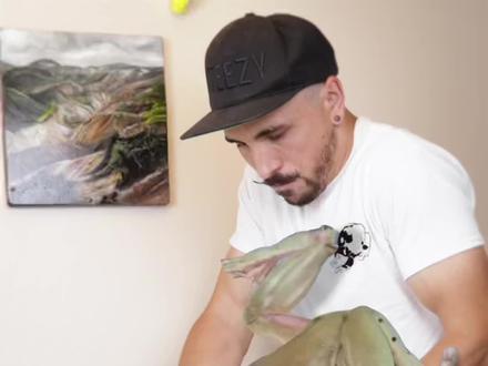 科普分享15种娃,你见过哪几种?#蛙 #宠物蛙 #动物科普