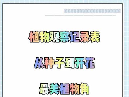 植物观察记录表 环创 资料#幼儿园 #植物观察记录表 #区角资料 #种子发芽全过程