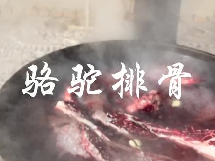 好多热心善良的朋友都在关心为什么把那个漂亮的骆驼宰了#抖音助农 #内蒙美好推荐官