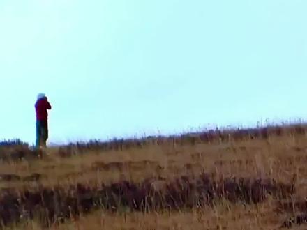 是谁最近没有看哭T﹏T#格林 #李微漪 #重返狼群