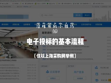 电子投标的基本流程——没啥用的小技巧6 #投标 #电子投标 #招投标 #电子标书