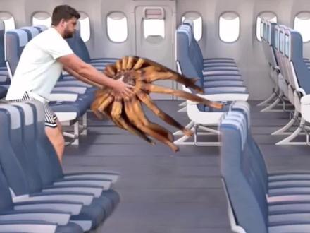 第132集|遇到这种情况会怎么办?#dijon #抽象 #猎奇