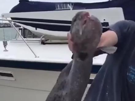 这些奇奇怪怪的鱼,你知道哪些能吃吗?#鱼 #生病的鱼 #涨见识