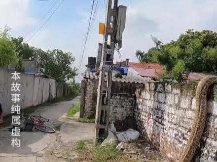 HZ01078 妻儿偶见日记本,方知隐情与牺牲。-2 #空庭独余我 #麦芽短剧 #百亿剧好看计划 #因为一个片段看了整部剧 #热门短剧