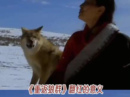 因为她爱格林 所以格林应该是自由的 #重返狼群 #格林 #李微漪 #动物园 #内容启发搜索