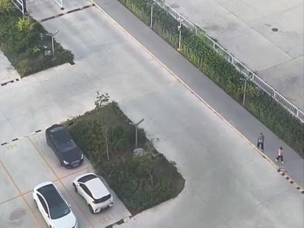 妈妈拍下儿子的上学搭子每天等他一起上学!这份“梧桐树下的约定”让人好羡慕...(来源:沸闻天下)