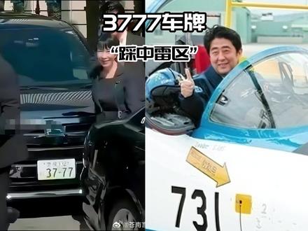 这个车牌到底是什么用意?!