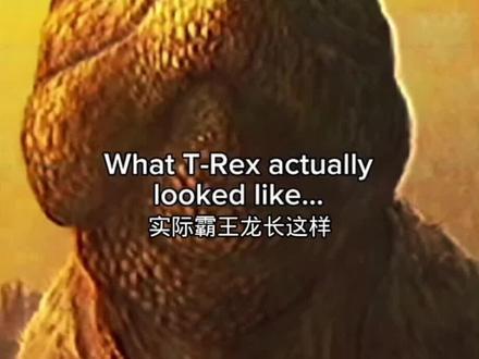真实的霸王龙#霸王龙#暴龙#恐龙#侏罗纪#白垩纪