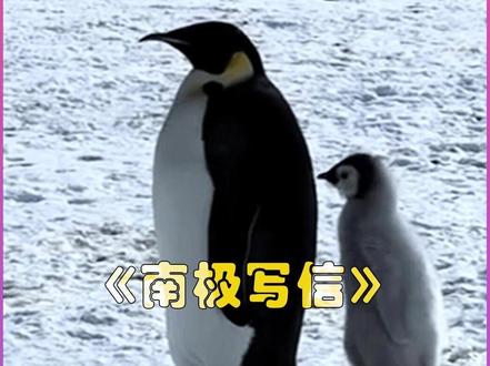 老板追寻诗与远方,员工深夜工作群钉钉作响