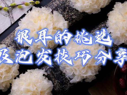 如何挑选优质银耳?记住这三招 包您轻松掌握。顺便教您怎样泡发 #在家做美食 #银耳 #选购技巧 #生活小妙招 #调味品 #知识分享