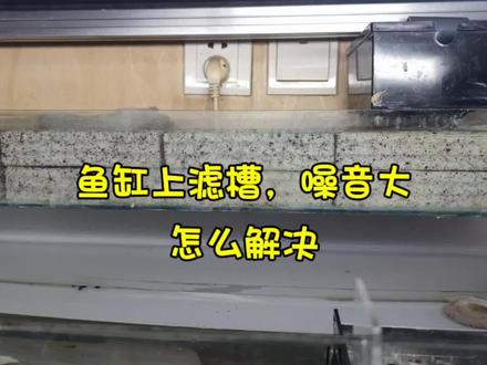 自制鱼缸上滤槽,噪音太大,该怎么解决? #系统缸 #鱼缸过滤 #养鱼日记 #水族器材 #鱼缸上滤 #水族