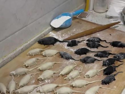 这不吓人牌饺子吗?#这饭还能吃下去吗 #分享有趣的视频