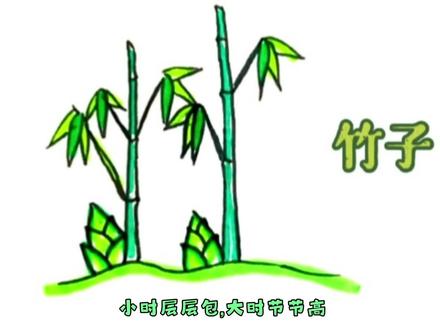 竹子——每天一个简笔画,宝宝轻松会画画! #简笔画 #育儿 #简笔画教程 #儿童简笔画