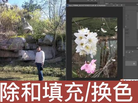 PS2023版本新功能一键删除和填充,换色 #ps教程 #ps小技巧 #p图 #ps初学者教程 #平面设计