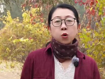 什么是“华人、华侨、华裔”?一条视频讲清楚! #华人 #华侨 #华裔