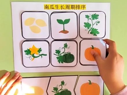 幼儿园自制教具《南瓜生长周期》,适合中大班科学区。小朋友观察南瓜生长过程,贴上相应的顺序。电子档素材可直接打印。#幼教资源共享 #自制教具