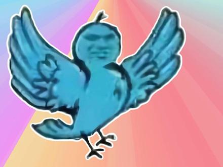 我鸟都不鸟你是什么梗? #我鸟都不鸟你 #梗 #搞笑 #柜子