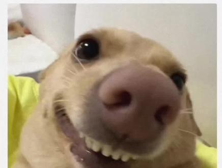 如何修改qq空间的手机标识?