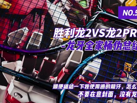 龙牙2代VS龙牙2代PRO,顺便说说龙牙全家桶怎么选(伪) #龙牙之刃 #龙牙 #龙牙之刃二代 #龙牙之刃二代pro #黑龙牙