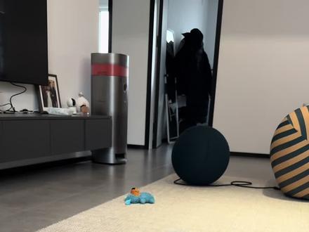 豆包看小狗还是一点东西的#豆包我可没惹你 #小狗小狗 #萌宠日常vlog