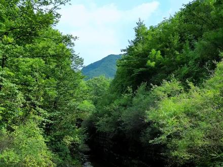 我在山东峡谷徒步遇到了无底水洞,通往地球的另一端!
#就是玩who #济南游玩攻略 #淄博周边游攻略