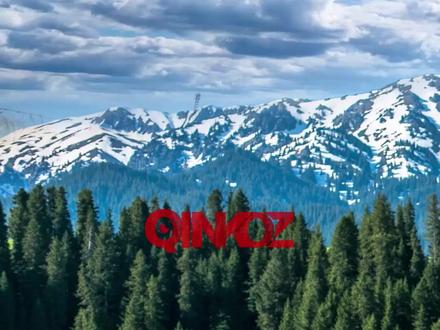 关于2026年部分节假日安排 #放假通知