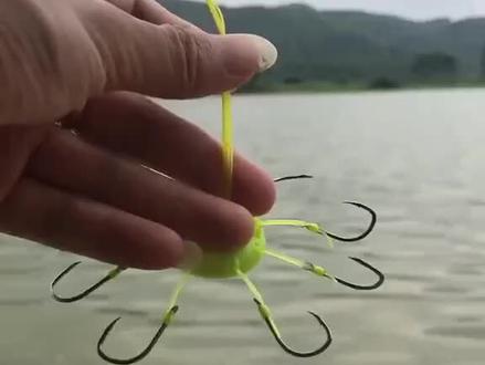 翻版钩底钓鲢鳙的教程来了,不要忘了给个双击支持#钓鱼