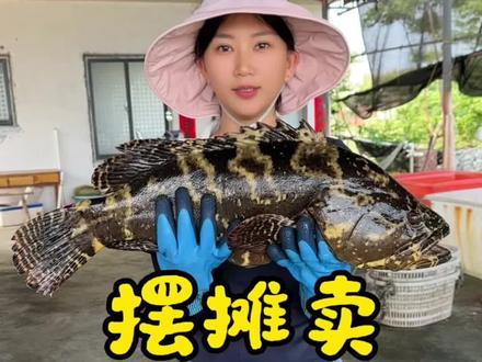 摆摊卖石斑鱼,帮我算算亏了还是赚了 #海鲜摆摊 #海钓石斑鱼 #真实摆摊状况 #渔民日常 #生活记录 @DOU+小助手
