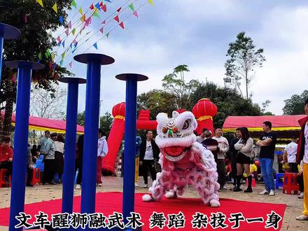 湛江文车龙狮团银狮重现江湖3.8米梅花桩轻松拿捏 果然是名不虚传#南狮 #醒狮文化 #湛江醒狮之乡 #醒狮表演 #湛江文化遗产 #年例风俗