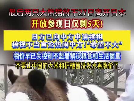 确认了!日本最后2只大熊猫即将回国#大熊猫