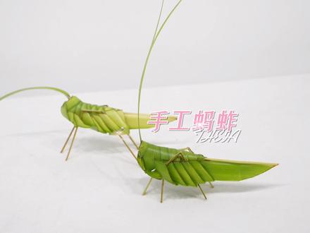 民间艺术,用剑叶编的小蚂蚱。#插花艺术 #花艺培训 #编织教程 #蚂蚱