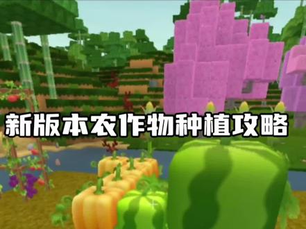 迷你世界22:新版本农作物玩法攻略