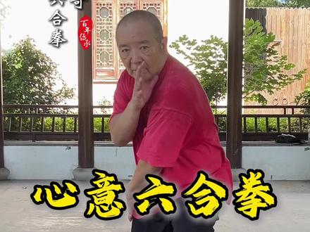 #弘扬中华武术 #心意六合拳 #十大形@献给喜欢的朋友
