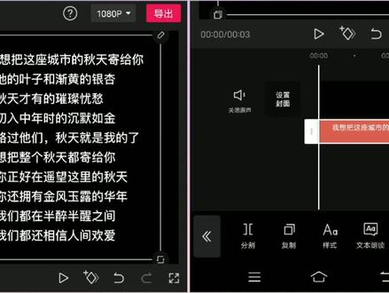 剪映新手入门 配音合拍视频制作 做抖音涨粉首选 简单好学