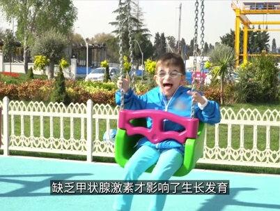 到死都是婴儿什么概念?美西螈永远长不大之谜! #美西螈 #六角恐龙 #宠物