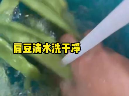 #居家美食分享 #一起学做菜#我的厨房日记#家常菜 失业产品经理的第二技能,在线教做菜之五花肉炖扁豆