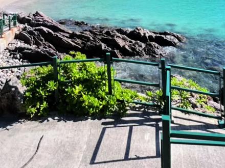 不需要出国就可以看到“马尔代夫”一样玻璃海,就在香港厦门湾,又叫半月湾,真的有被惊艳到!
#香港 #香港海边 #香港海滩 #香港旅游 #香港厦门湾