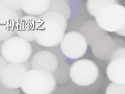 谁罕见?啊?骂谁罕见呢 #东雪莲 #花语 #抽象 #罕见