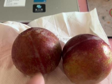 涵璐据理力争🤣🤣#vlog日常 #家庭日常 #熊孩子系列