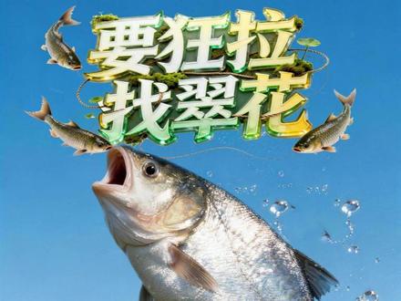 一招破解鲢鳙呼吸口真相 #钓鱼 #饵料 #打窝 #夜钓 #翠花方块饵