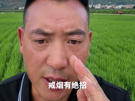 戒烟最快的方法#戒烟#日常#原创视频